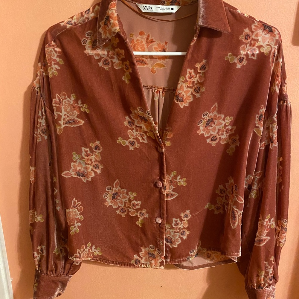 Zara Velvet Button-Up Blouse